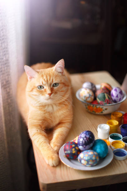 Tonal rojo y huevos de pascua en la mesa. - foto de stock