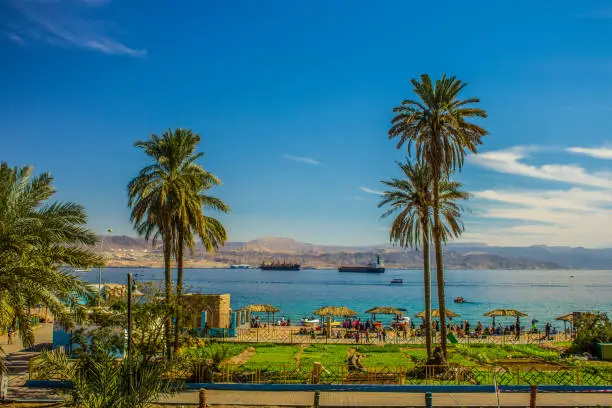 Photo of tropic palm beach summer landscape scenic view of Gulf of Aqaba waterfront shore line in south of Jordan with port and cargo ship background Israeli territory