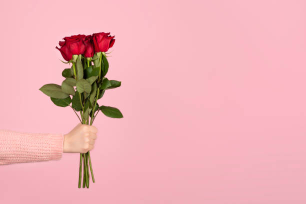 bellissimo bouquet di rose rosse in una mano donna su sfondo rosa chiaro. - rose valentines day bouquet red foto e immagini stock