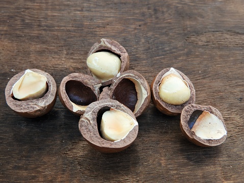 Macadamia nuts7