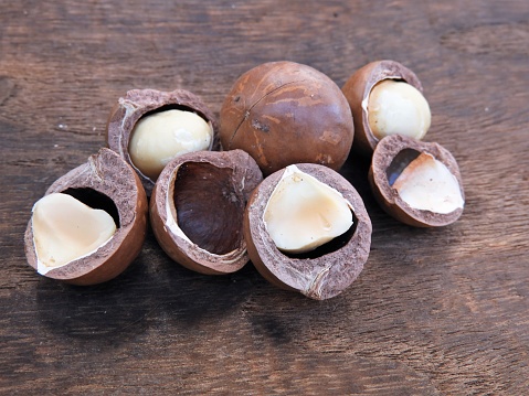 Macadamia nuts3