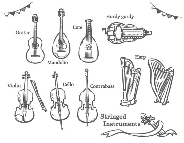 Stringed instruments set. Stringed instruments set. Vector illustration. hurdy gurdy stock illustrations
