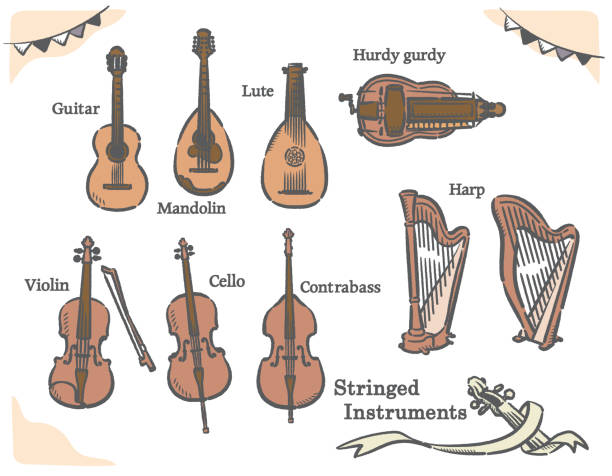 Stringed instruments set. Stringed instruments set. Vector illustration. hurdy gurdy stock illustrations