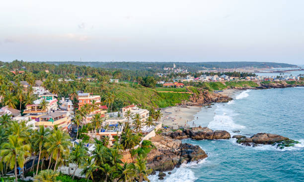 istock Aerial View of Rocky Beach 1205471548