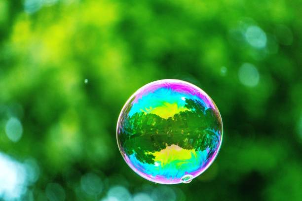 istock Reflection of Green Trees Inside A Big Soup Bubble 1205476175