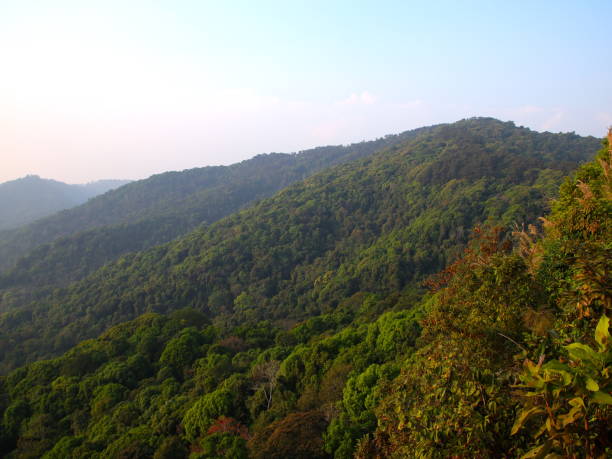 istock Wat Phrathat Doi Southep in Chiangmai Thailand 1205477571