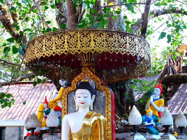istock Wat Phrathat Doi Southep in Chiangmai Thailand 1205477608