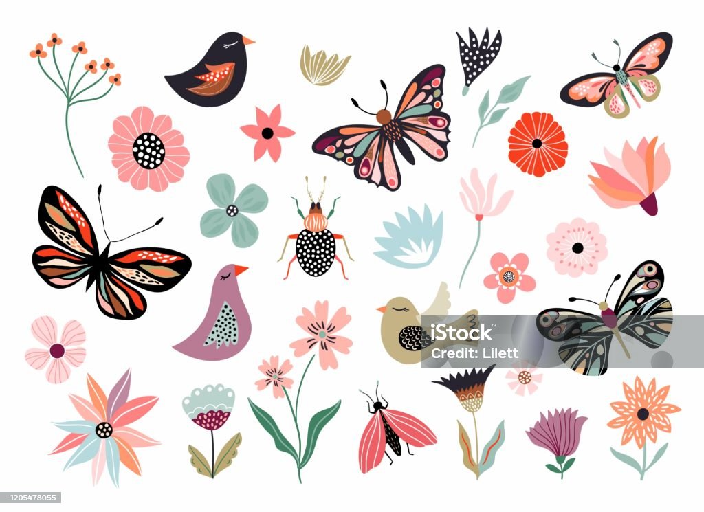 Butterflies, flowers and birds hand drawn collection Butterflies, flowers and birds hand drawn collection of different element, isolated on white Flower stock vector