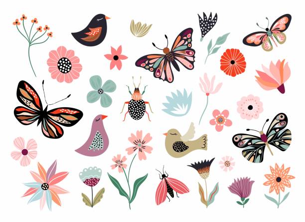 Butterflies, flowers and birds hand drawn collection Butterflies, flowers and birds hand drawn collection of different element, isolated on white bird backgrounds stock illustrations