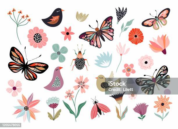 Butterflies Flowers And Birds Hand Drawn Collection Stock Illustration - Download Image Now