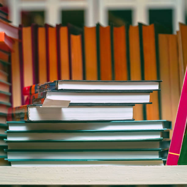 istock Books on a shelf in the library 1205478091