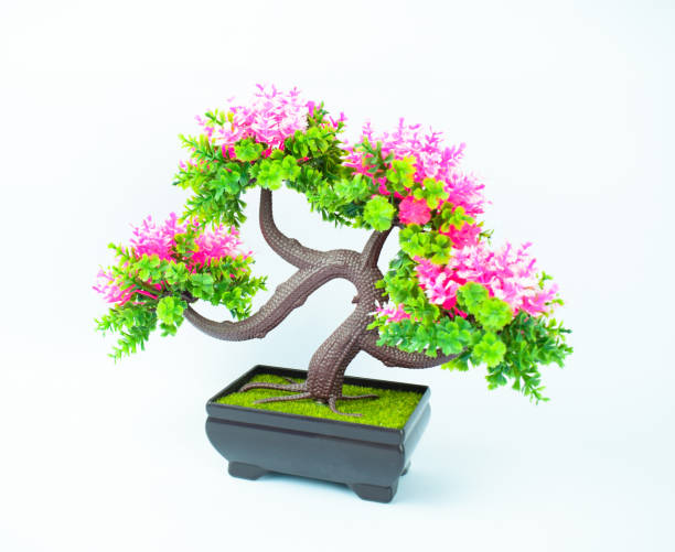 istock A miniature plastic tree figurine with small pink flower and green leaves before a white background 1205478204
