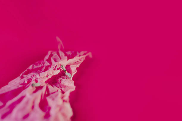 istock Smoking incense stick in a special traditional stand on a bright pink background. Image for relaxation, Spa and meditation in Asian style 1205478257