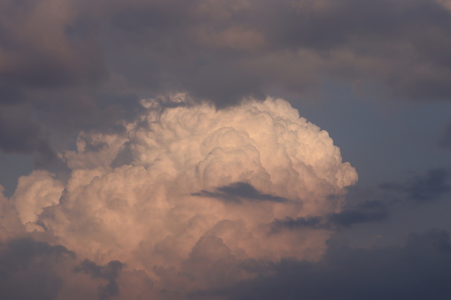 Close-up of a white fluffy cloud against a vibrant blue sky