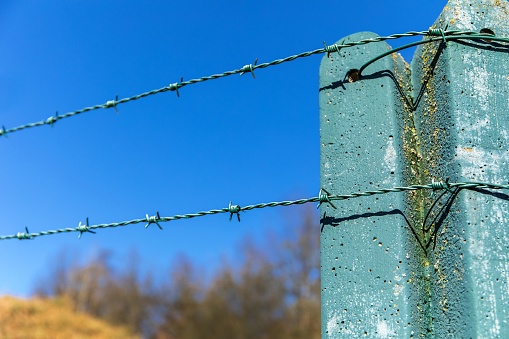 Barbed wire on blue sky. Prison concept. Border fence. Security of private land.