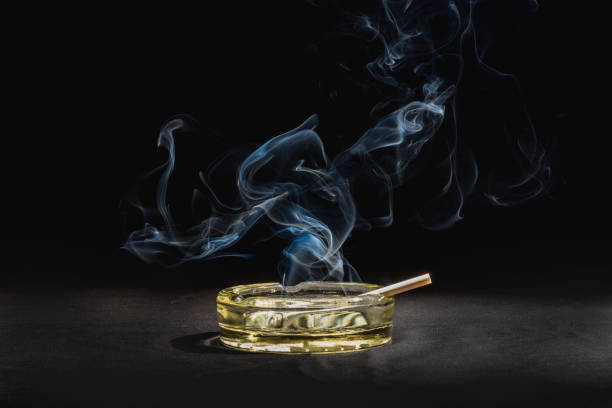 lit cigarrillo con humo acostado en un cenicero vacío. - cenicero fotografías e imágenes de stock