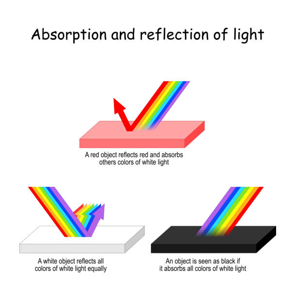 ilustraciones, imágenes clip art, dibujos animados e iconos de stock de luz de color absorción y reflexión - refracción
