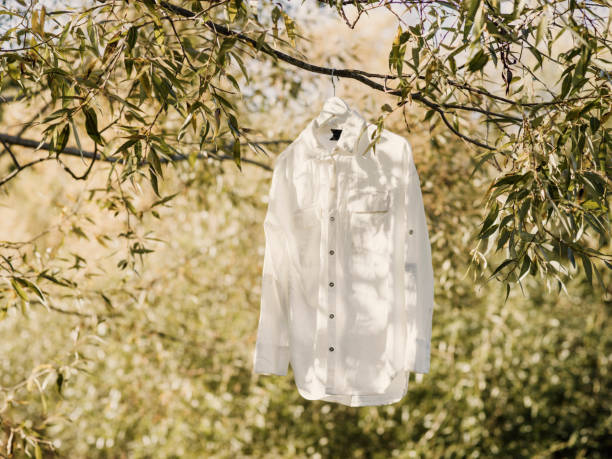 Fresh shirt hanging outside in nature clean linen laundryPhoto taken outdoors in nature