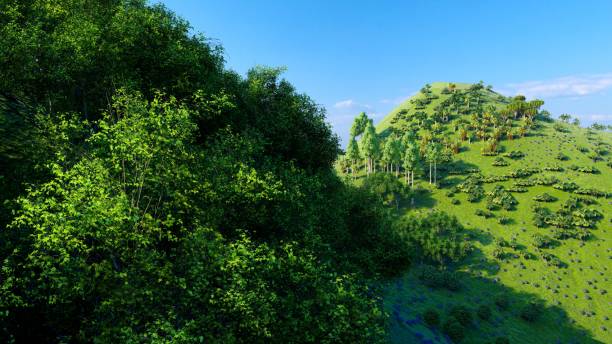 istock Jungle hills in Okinawa, Japan 1205485343