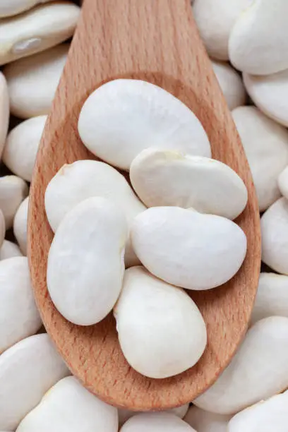 Lima Bean in wooden spoon background. Large beans with a buttery flavor and starchy texture.