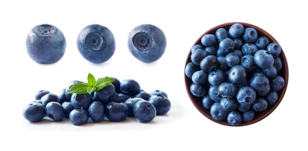 istock Bilberries isolated. Fresh raw berries isolated on white background. Collection. Blueberries on white background. Set of blueberries from different angles on white. Bilberries with copy space for text. 1205488212