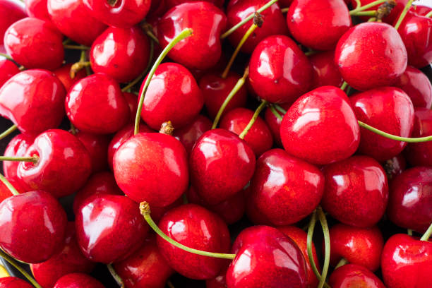 istock Fresh red cherries. Texture cherries fruits close up. Cherry fruit. Cherries with copy space for text. Top view. Background of cherries. 1205488241