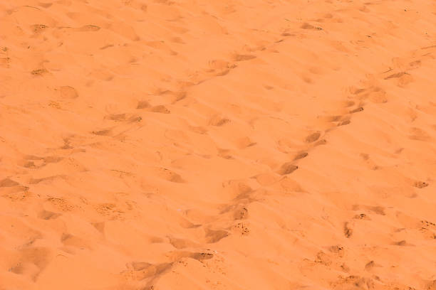 istock desert sand wavy background textured surface with shoes foot steps prints on a ground 1205489045