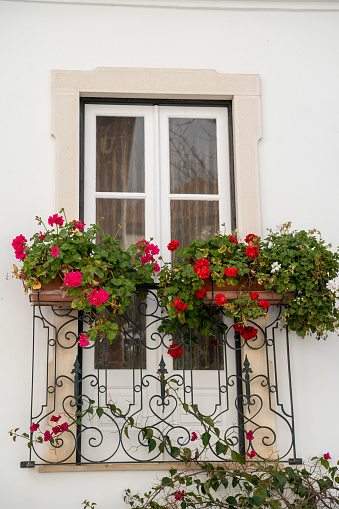 Cute white window with red flowers on the balcony in Portugal