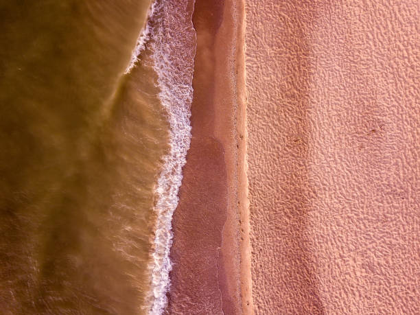 istock Aerial view of sandy beach and sea with waves 1205495980