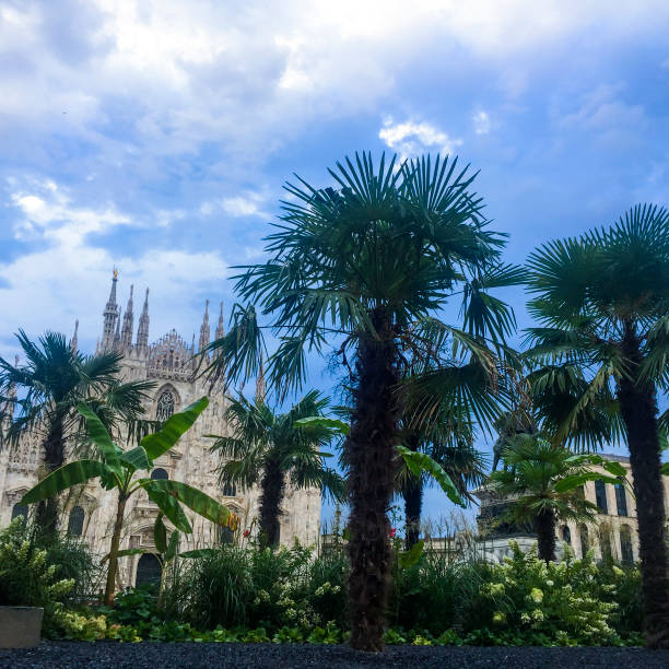 nuvole duomo milano con palme - milan italy town square italy cathedral foto e immagini stock