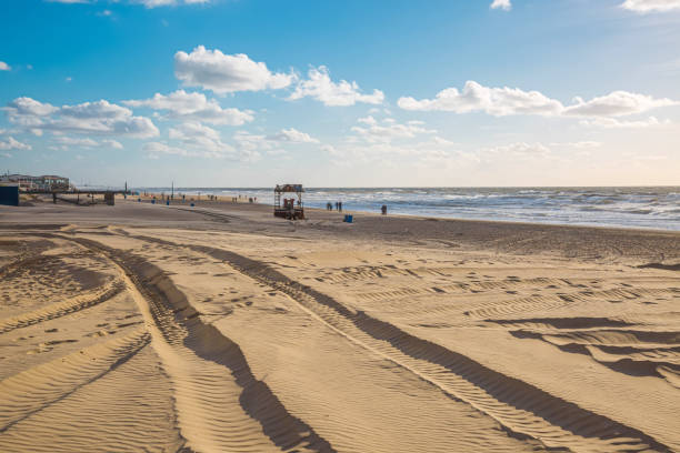istock Footprints in the sand on the beach 1205497058