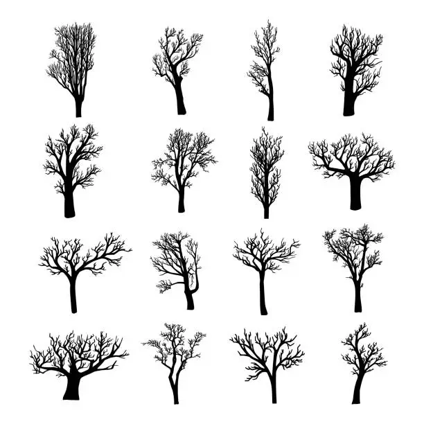 Vector illustration of Black silhouettes of dead, dried, bare or leafless trees and saplings