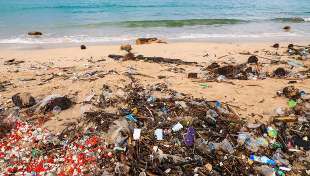 istock Dirty sea sandy shore the Black Sea. Environmental pollution. Ecological problem which Moving waves on the beach 1205501292