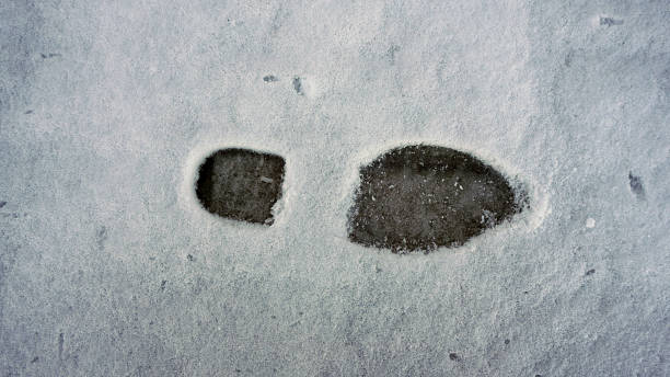 istock human footprints on snow in winter, shoe prints on snow, 1205508765