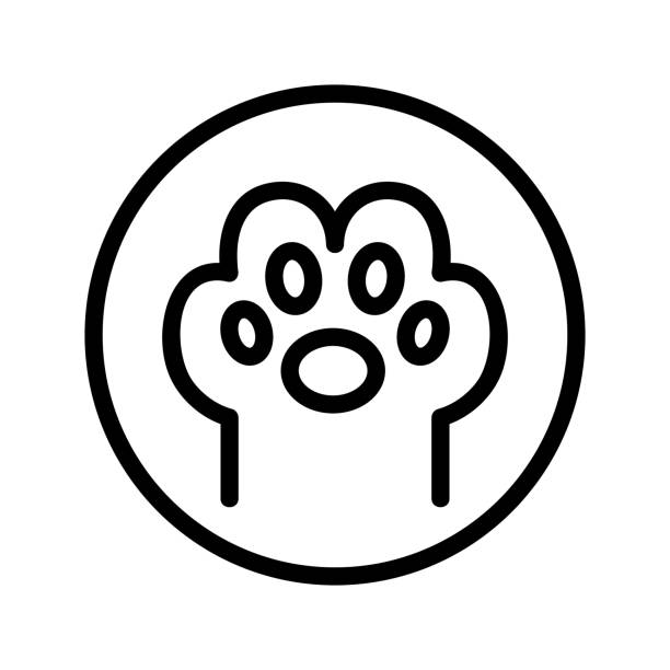illustrazioni stock, clip art, cartoni animati e icone di tendenza di vettore icona zampa. illustrazione del simbolo del contorno isolato - undomesticated cat immagine