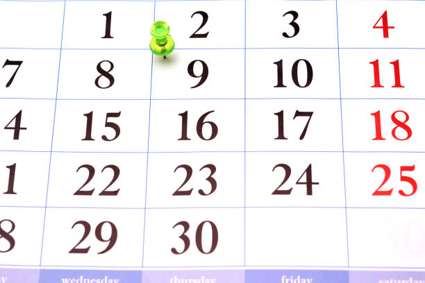 istock calendar and green clip 1205510146