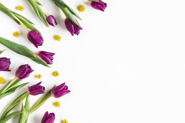 istock Flowers composition. Colorful flowers on gray background. Spring concept. Flat lay, top view, copy space 1205515728