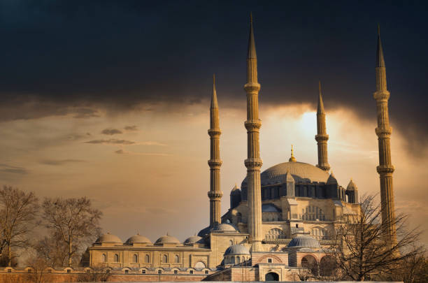Selimiye Mosque Edirne / Turkey camel colored photos stock pictures, royalty-free photos & images