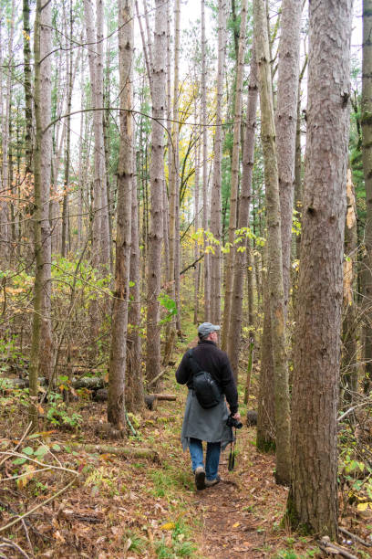 istock Rear View Of Man Walking In Forest 1205516091