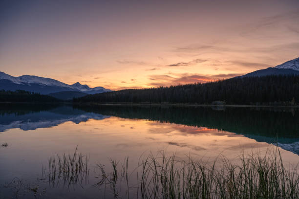 istock Patricia lake with mountain range and pine forest reflection at evening 1205519400