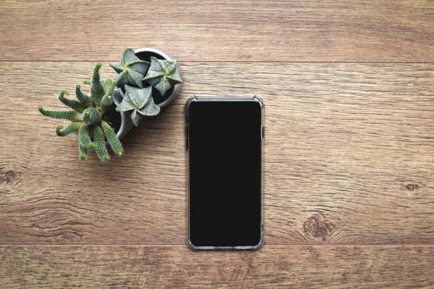 istock Mobile smart phone on wooden desk with blank screen and decorative cactus 1205523734