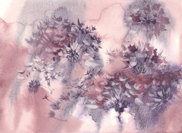 dandelion clockin the violet grunge watercolor background Dandelion clockin the violet grunge watercolor background. Flower illustration dandelion clock stock illustrations