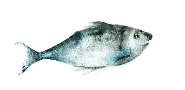 istock Watercolor fish on white background 1205532317