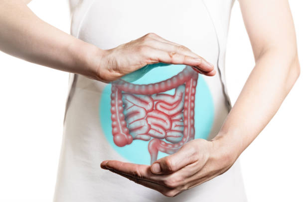istock Concept of healthy bowel. 1205536188