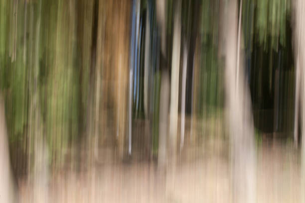 istock Blurry distorted trees in a park, landscape dreamlike, motion blur 1205536372