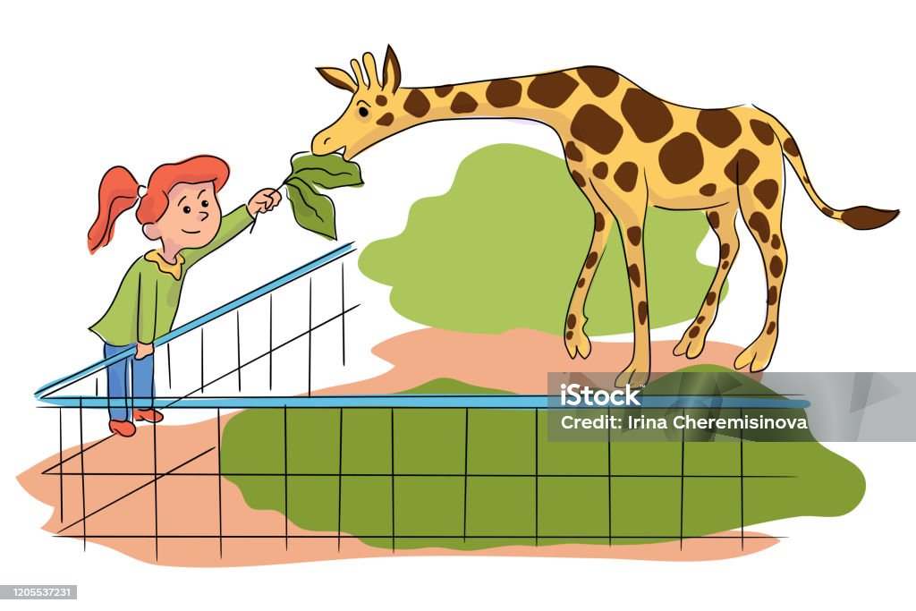 Girafe Dalimentation De Petite Fille De Dessin Animé Au Zoo De Contact