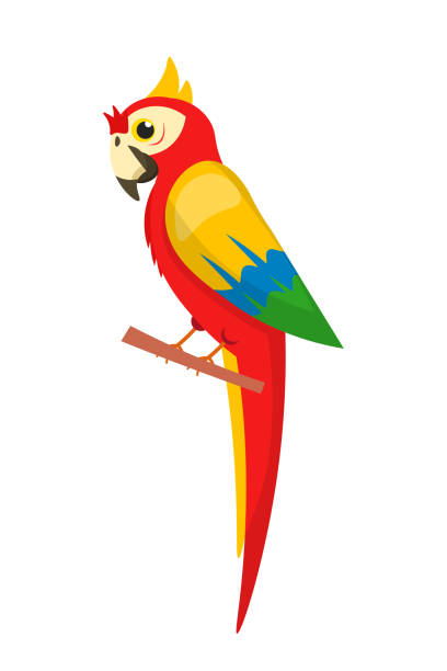 ilustrações, clipart, desenhos animados e ícones de papagaio vermelho sentado em galho isolado em branco - branch bird flying pets