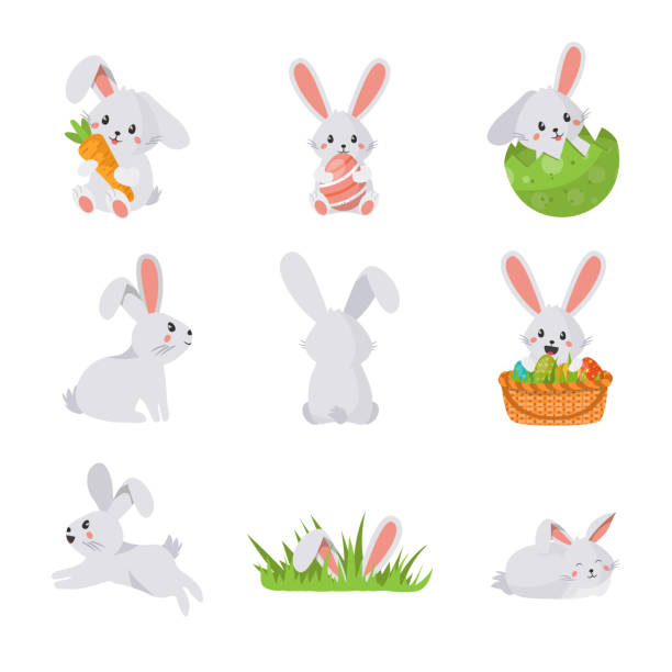 Funny white easter bunnies in different poses set Cartoon funny white easter bunnies in different poses flat set. Cute rabbit holding carrot or huge egg, sitting in green grass, basket or eggshell, sleeping, jumping, running. Vector illustration doodle zoo stock illustrations