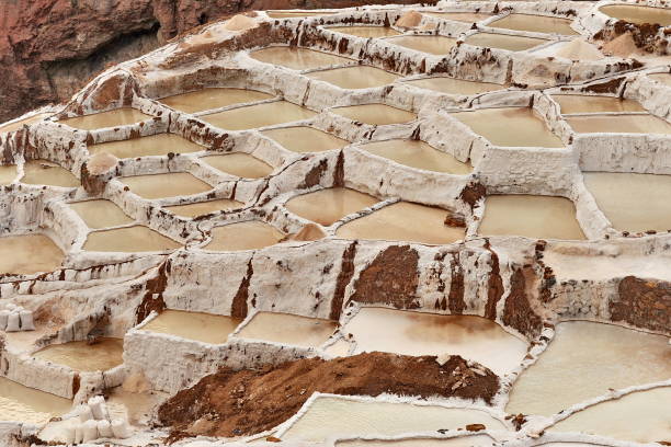 istock Food salt production technology. 1205538552