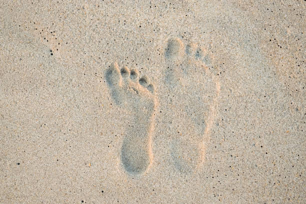 istock footprints in the sand of different sizes for comparison on the beach on vacation 1205545924
